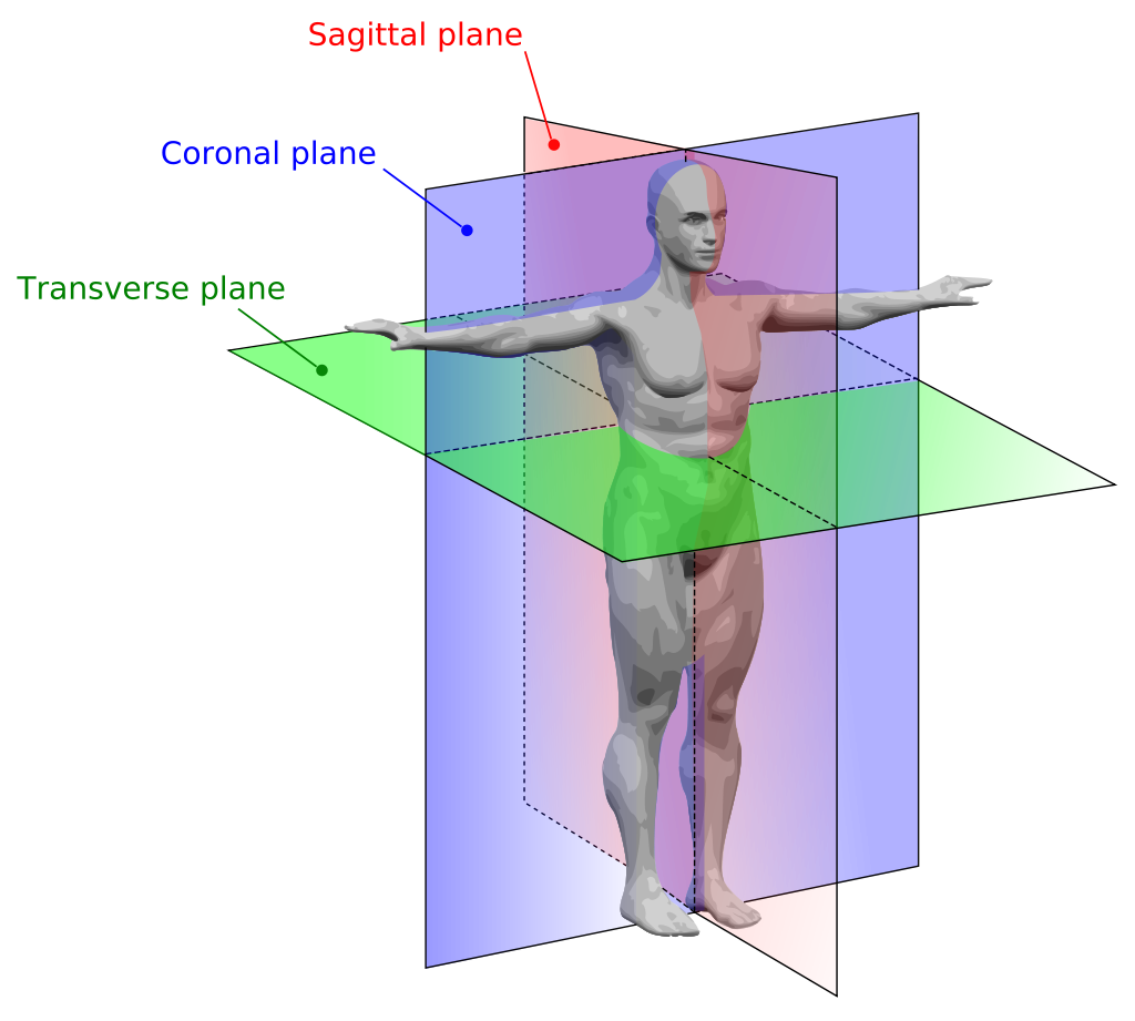 Anatomical Location